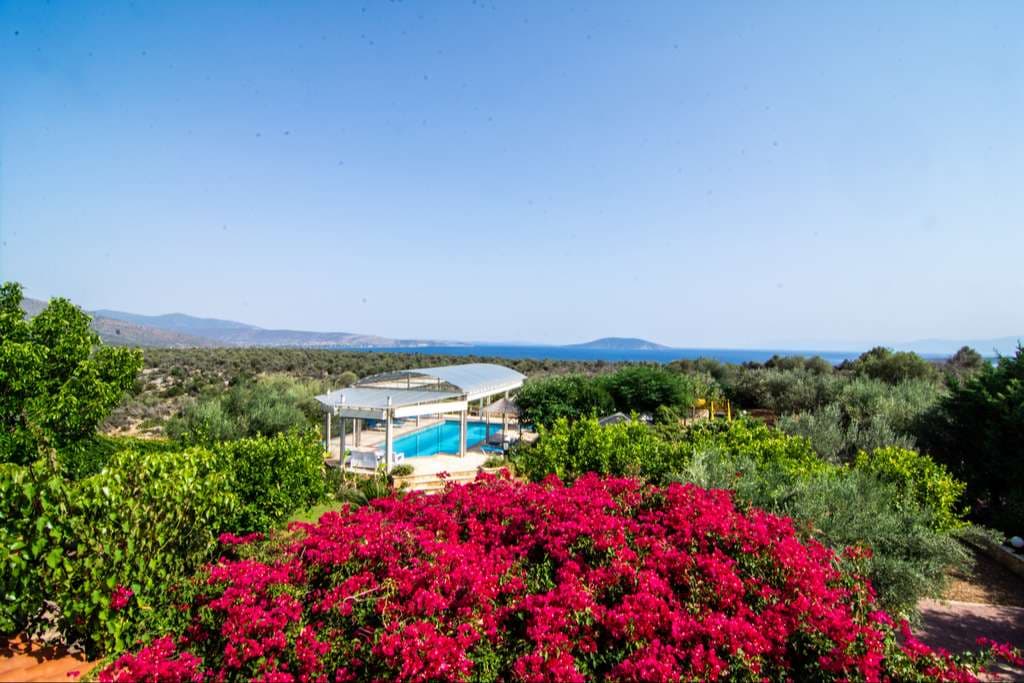 Bougainvillea in flower above the covered pool, with the Argolic Gulf beyond